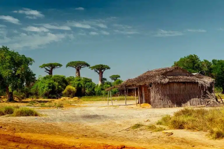 Madagascar - Paysage rural hutte