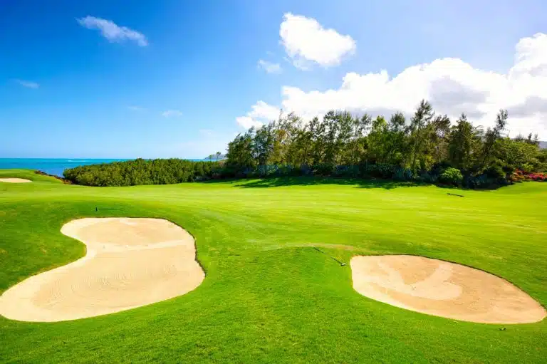 ACCUEIL-Première édition de la Vanilla Islands Golf Cup