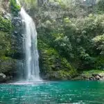 Les Seychelles - Paysage cascade nature