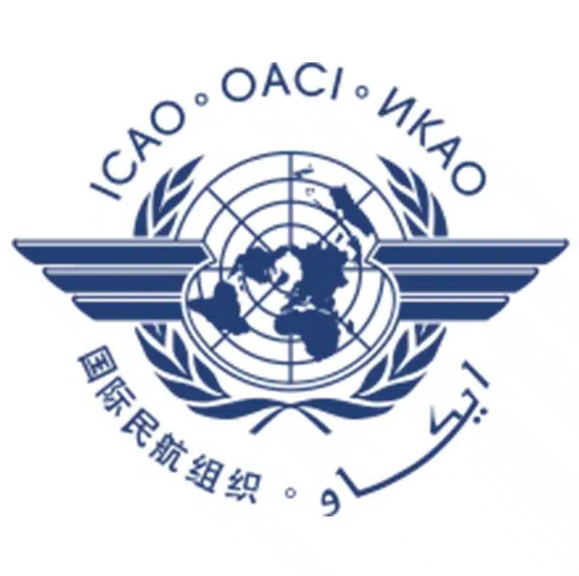 ARTICLE-Meeting on the development of sustainable air transport in Africa Antananarivo, 25 – 27 march 2015