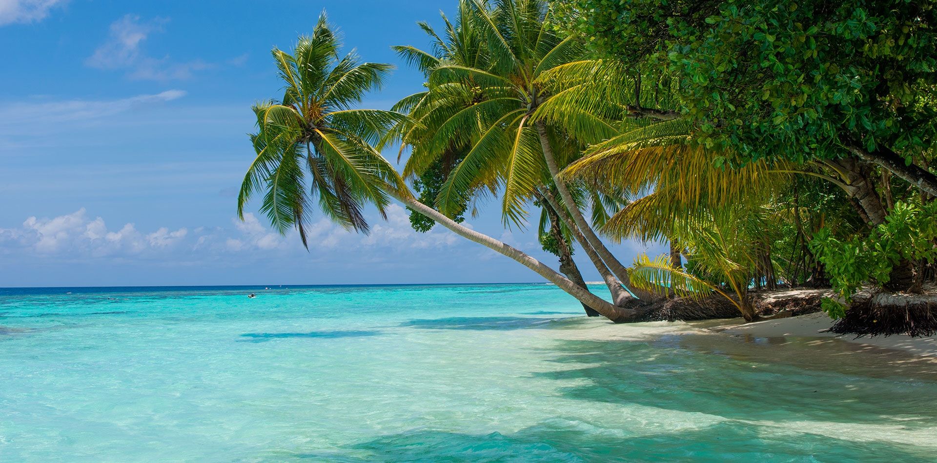 Press A major tourism challenge has been set with vanilla islands concept