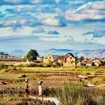 Madagascar - Paysage rural