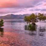 Mayotte - Lagon couché de soleil