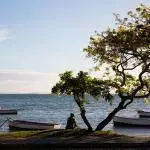 Mayotte - Bord d'océan pêcheur arbre bateaux