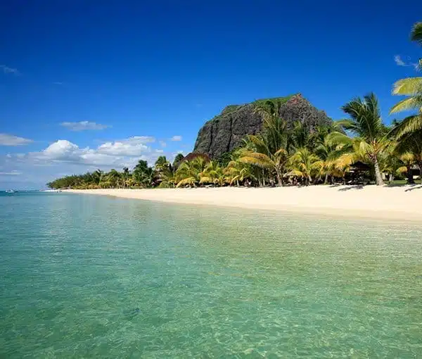 i-v-ecotourisme-promotour-le-morne