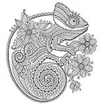 coloriage_cameleon